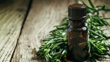 Uses-for-Tea-Tree-Oil