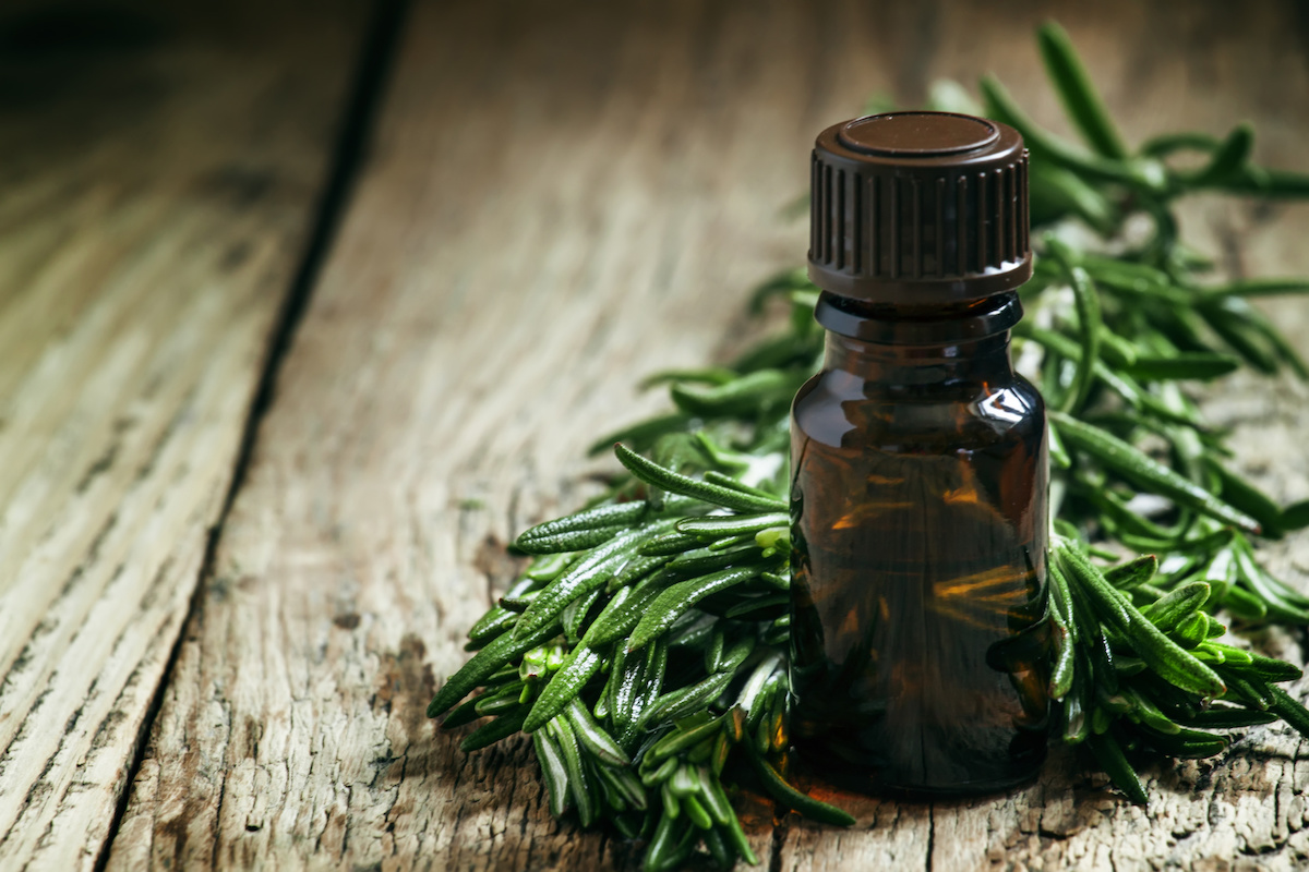 Uses-for-Tea-Tree-Oil