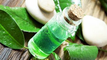 tea-tree-oil-for-hair