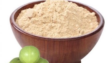 Benefits-and-Uses-of-Amla-Powder