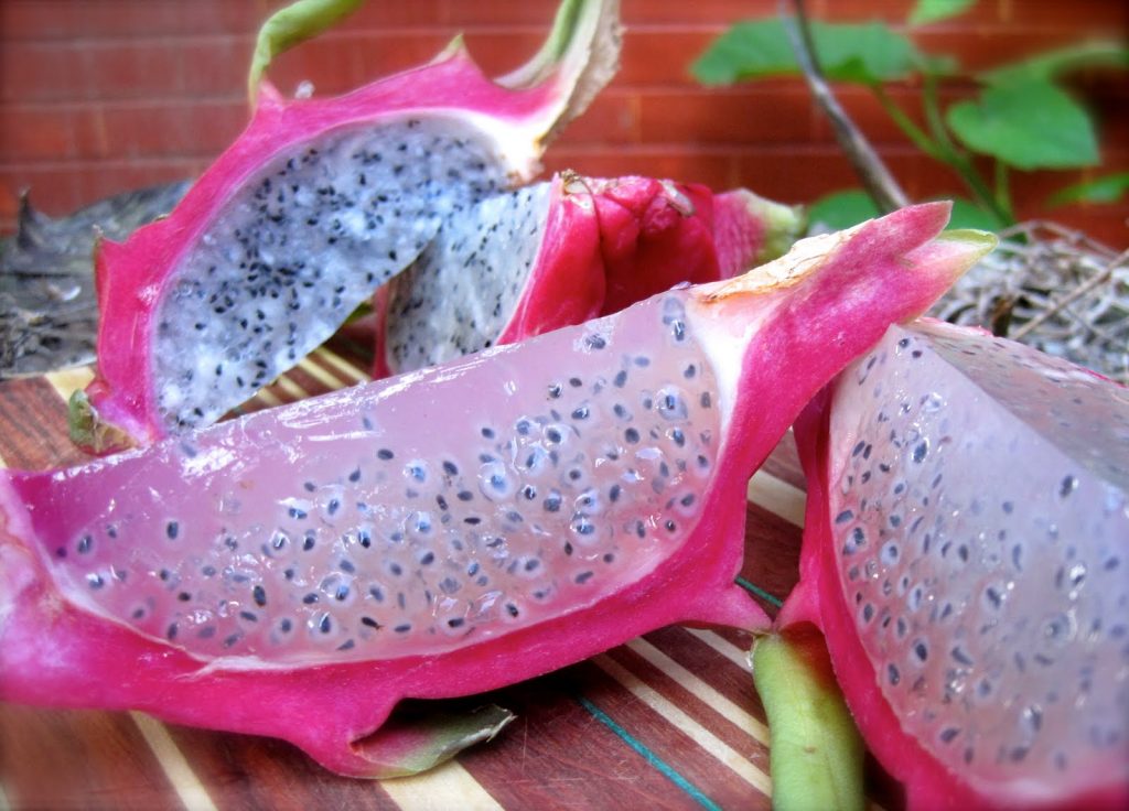 Покажи фото драконьего фрукта Top 10 Dragon Fruit Benefits Benefits and Uses