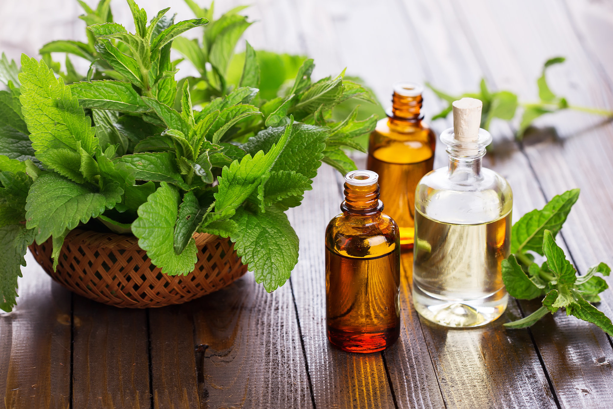 Health-Benefits-of-Patchouli-Oil