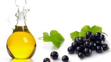 10 Health Benefits and Uses of Black currant oil