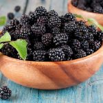 10 Health Benefits and Uses of Boysenberry