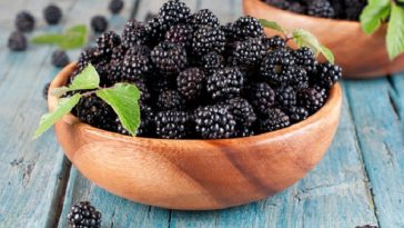 10 Health Benefits and Uses of Boysenberry