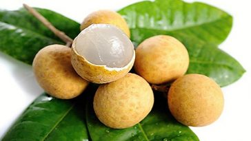 Longan Fruit