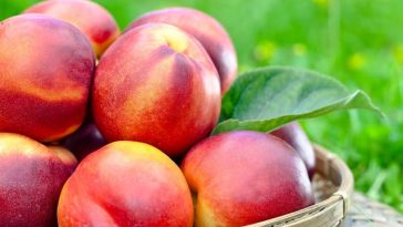 nectarine-for-hypokalemia