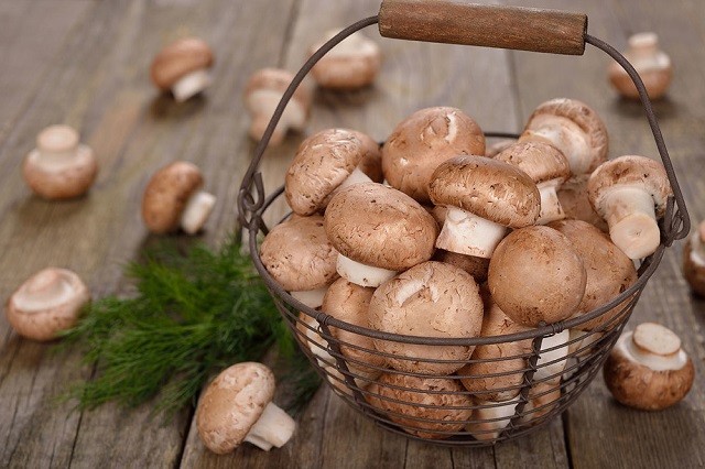 Mushroom-nutritional-value