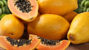 papaya-seeds-for-abortion