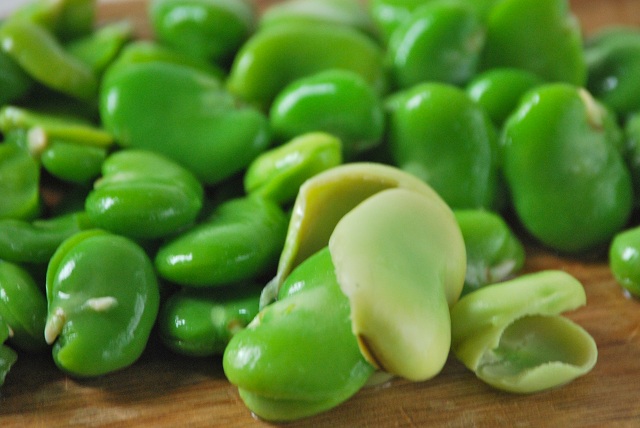 Fava-Beans