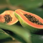 Papaya-seeds-benefits