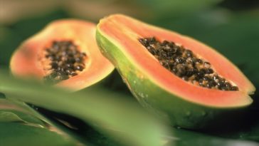 Papaya-seeds-benefits