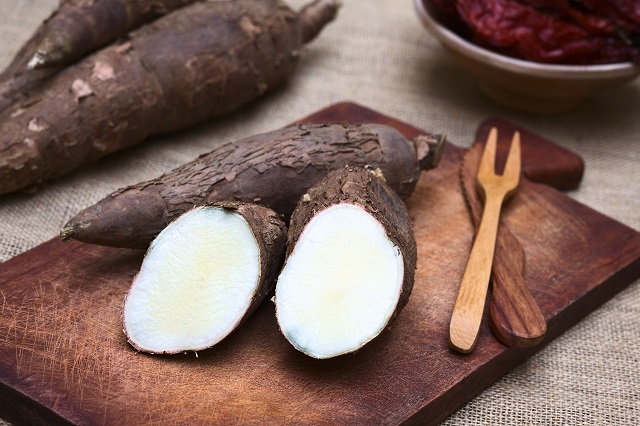 Cassava-benefits-and-dangers