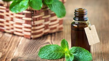 peppermint-essential-oil-benefits