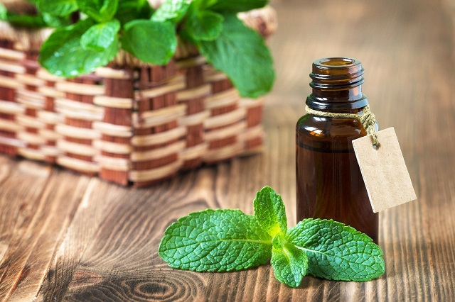 peppermint-essential-oil-benefits