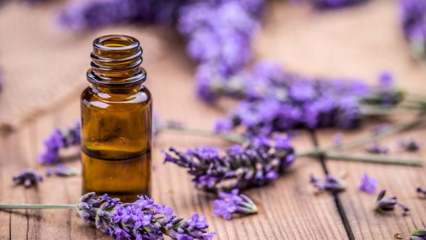 benefits-of-lavender-oil