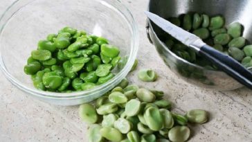 fava-beans-nutrition