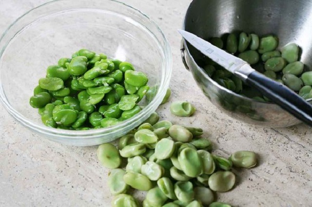 fava-beans-nutrition