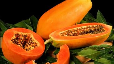 Papaya-seeds-side-effects