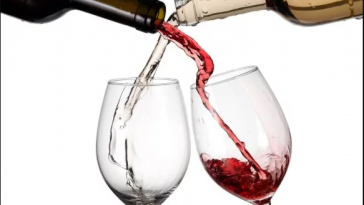 red-wine-vs-white-wine